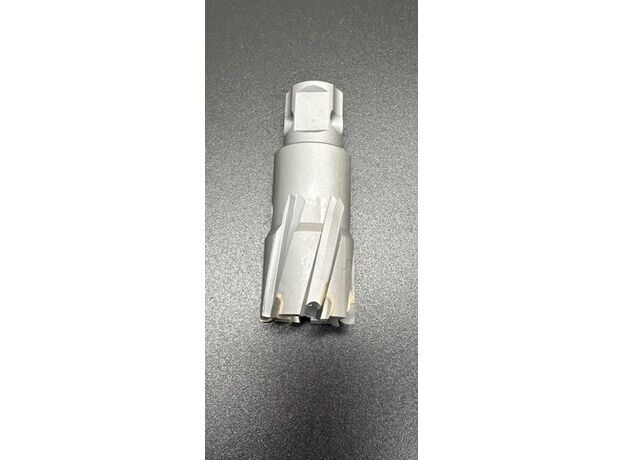 ANNULAR CUTTER 20MM (Tungsten Carbide Tipped) - ANNULAR CUTTERS at Carbidenz