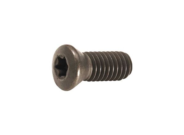 CS30 Insert screw - SPARE PARTS at Carbidenz